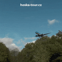 Air Pilot GIF by CK HOŠKA TOUR