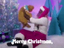 Merry Christmas Dog GIF by Winter Wonderland