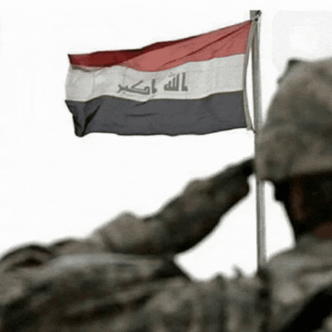 Saudi Arabia Usa GIF