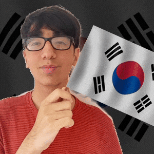 Holding South Korea GIF