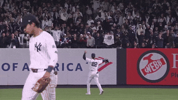 Ny Yankees Wow GIF by MLB