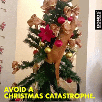 Christmas Tree Cat GIF by Bonds Aus