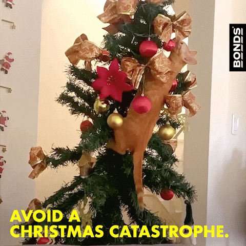 Christmas Tree Cat GIF by Bonds Aus