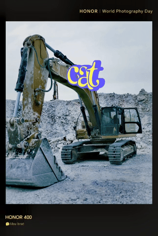 Cat GIF