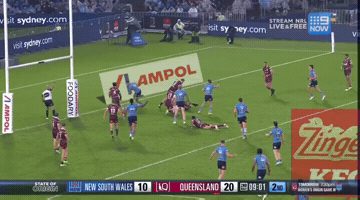 State Of Origin Nsw GIF