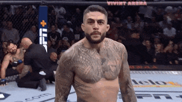 Stare Down Mixed Martial Arts GIF by UFC