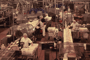 cheese factory GIF by hateplow