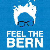 Bernie Sanders GIF by moodman