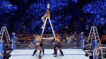 smackdown live no GIF by WWE