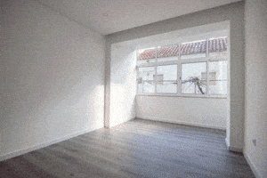 Remax GIF by josecunharemax