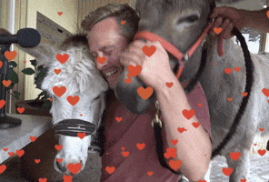 Horse Love GIF by VPRO