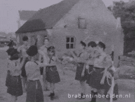 Scouting GIF by BrabantinBeelden
