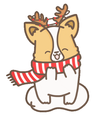 Source: corgiyolk Source: corgiyolk