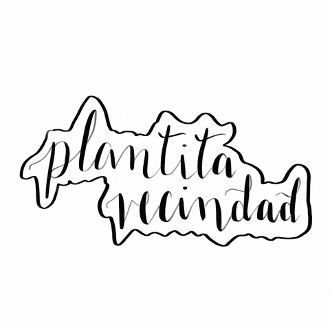Plantita GIF