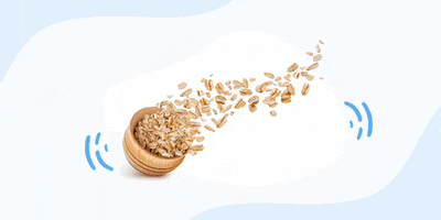 Fitness Health GIF by Evolution Advance Nutrition