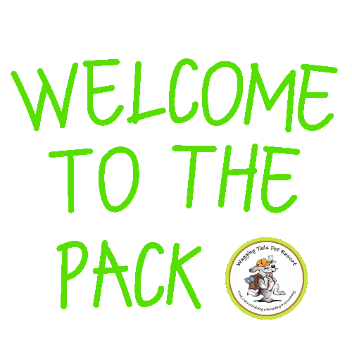 Dog Daycare Sticker by waggingtailspr