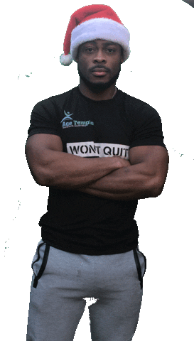 Christmas Sticker by acetemple