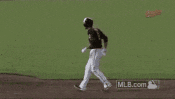 Ballpark GIF