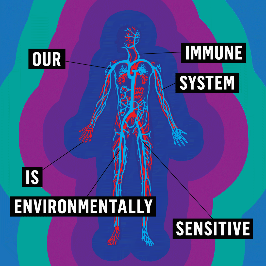 Global Warming World GIF by INTO ACT!ON Find & Share on GIPHY