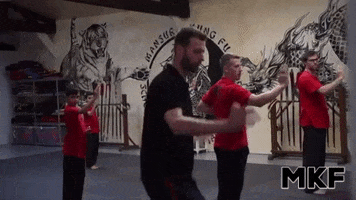Martial Arts GIF