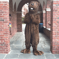 mascot dancing GIF by Welcome to the BVR Dam