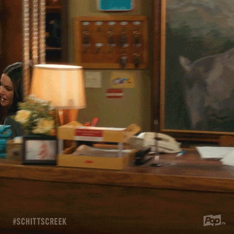 Pop Tv GIF by Schitt's Creek