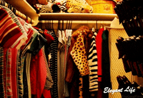 elegantlife clothes hide june closet GIF