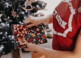 Christmas GIF by OCTAGON_fw