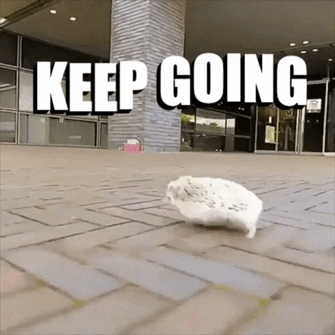 Hedgehog Keep Going GIF by MOODMAN