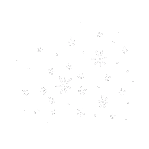 Star Flower Sticker