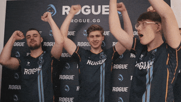 Team Celebrate GIF by Rogue