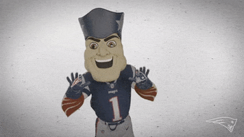 Calm Down Cool It GIF by New England Patriots