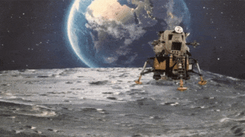Moon Landing Dog GIF by MOODMAN