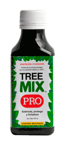 Tree Mix Sticker