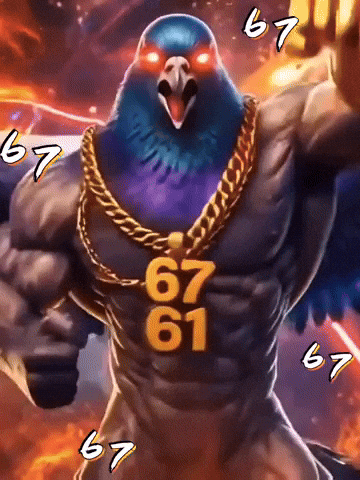 Bird Pigeon GIF