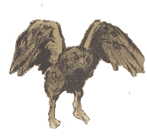 Fly Owl Sticker by GallicaBnF