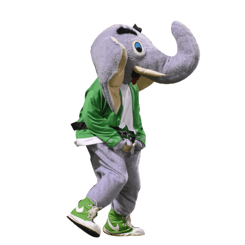 Estrellas bc Sticker