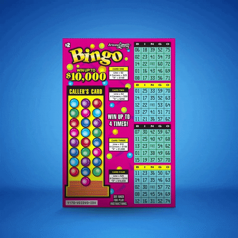 AZLottery winning arizona bingo lottery GIF