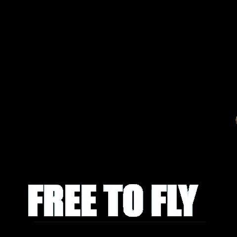 Cervejaria Cambirela GIF