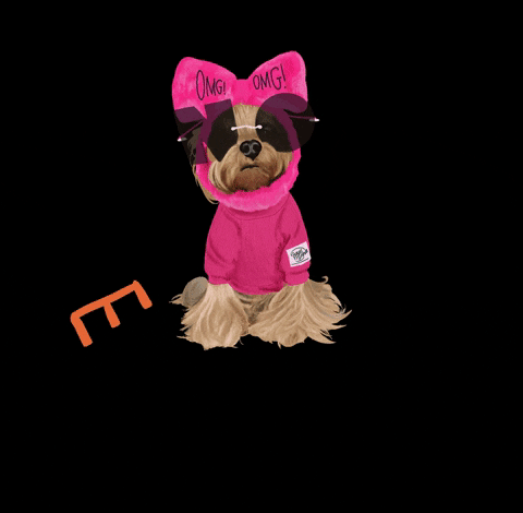 Yorkie-puppy GIFs - Get the best GIF on GIPHY