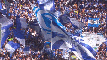 Football Fans GIF by FC Schalke 04