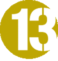 Triathloncoaching Sticker by Dutch Bike Fit