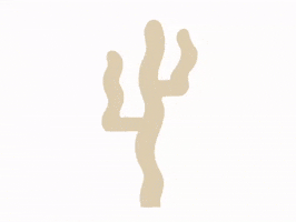 Queen City Cactus GIF by Queen City Collective Coffee
