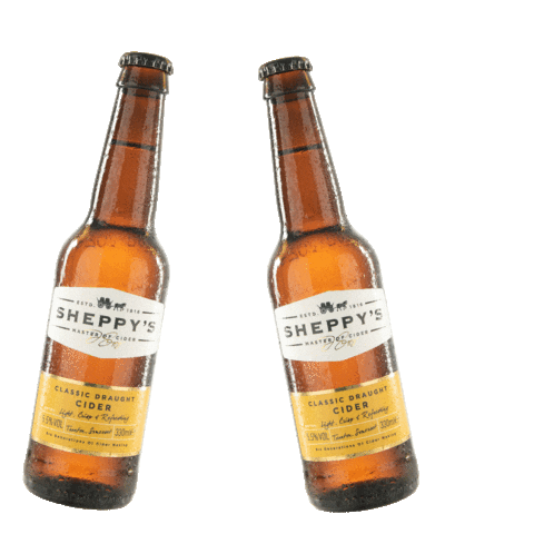 Cheers Salud Sticker by Sheppys Cider