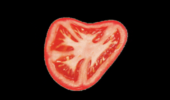 TASTE AGENCIA GIF