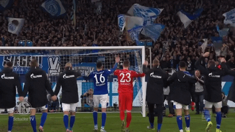 Happy Football GIF by FC Schalke 04 - Find & Share on GIPHY