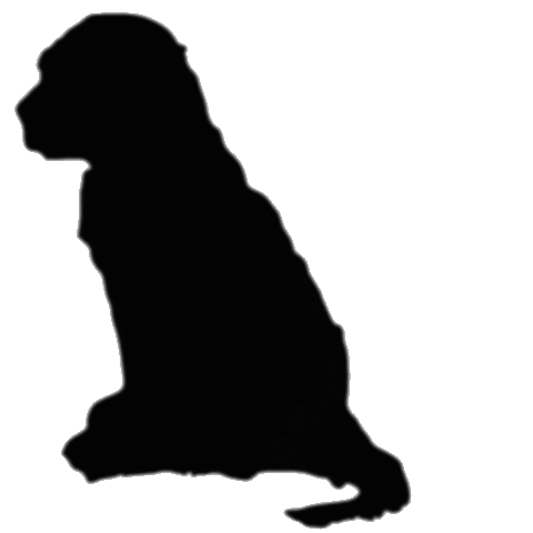 FurryGoodiez Sticker