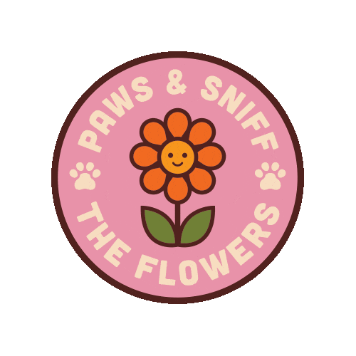 Mood Explore Sticker by Besties Pets