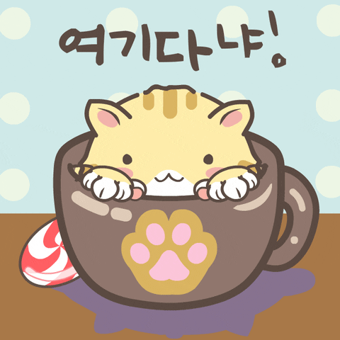 Cat Cup GIF