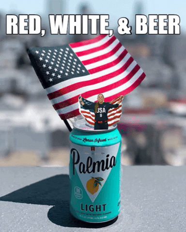 Celebrate 4Th Of July GIF by Palmia Beer